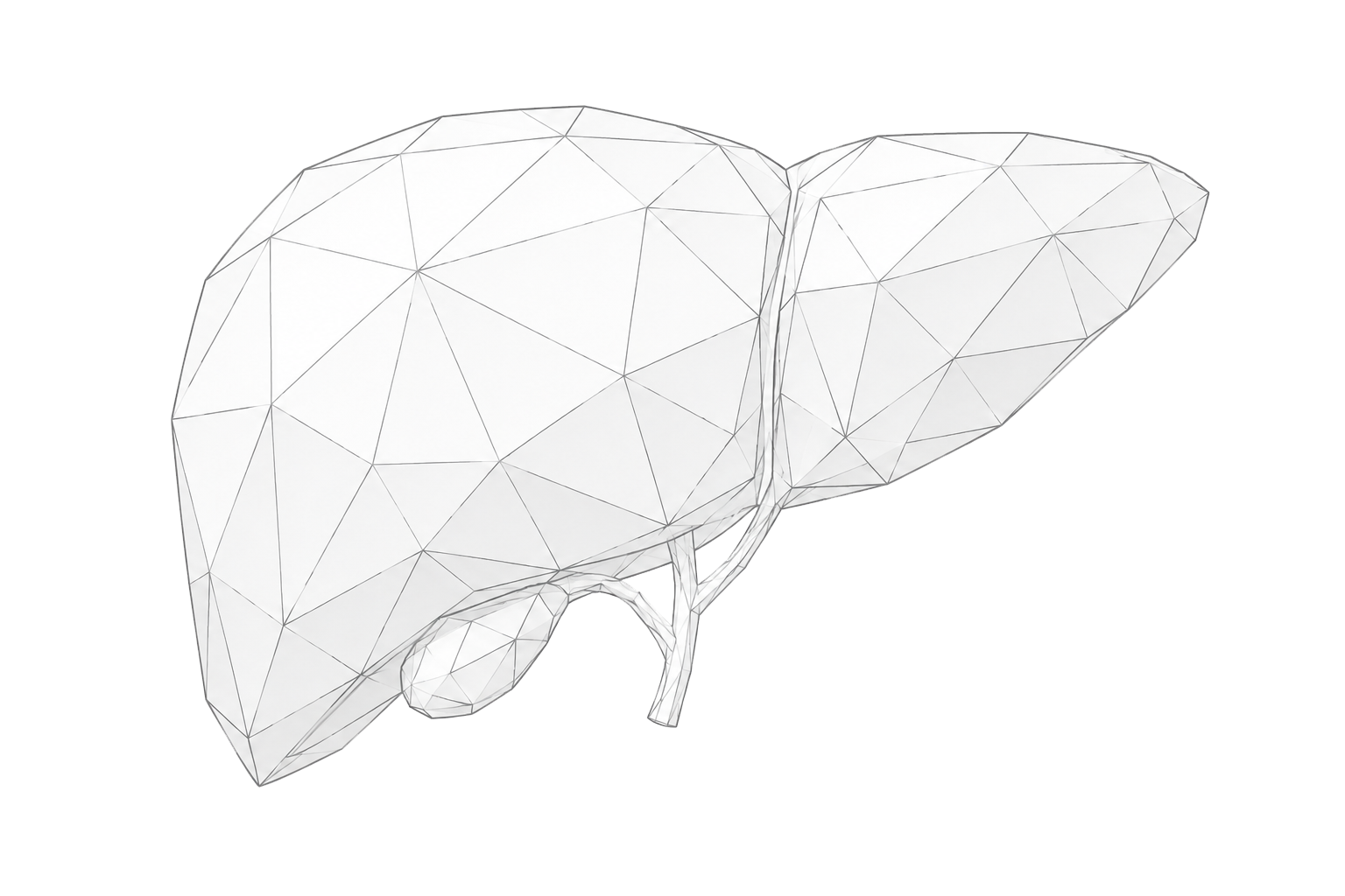 Ήπαρ, wireframe απεικόνιση